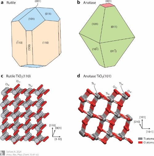 Aqueous titania interfaces